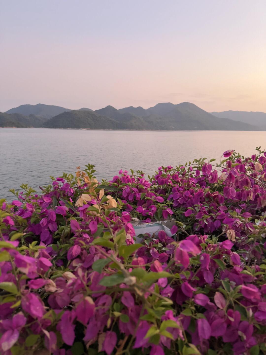 青山远黛,春暖花开_奥迪a7社区_易车社区