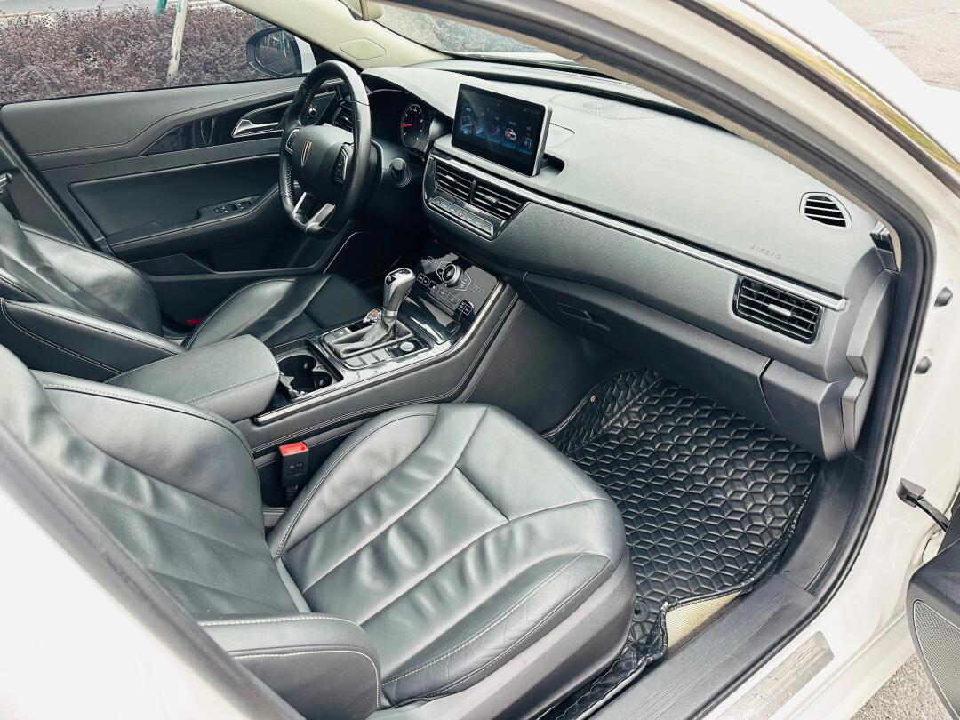 红旗h5 2019款 30td 灵动版 首次登记 20 年 3 月 表显 6 万_红旗h5