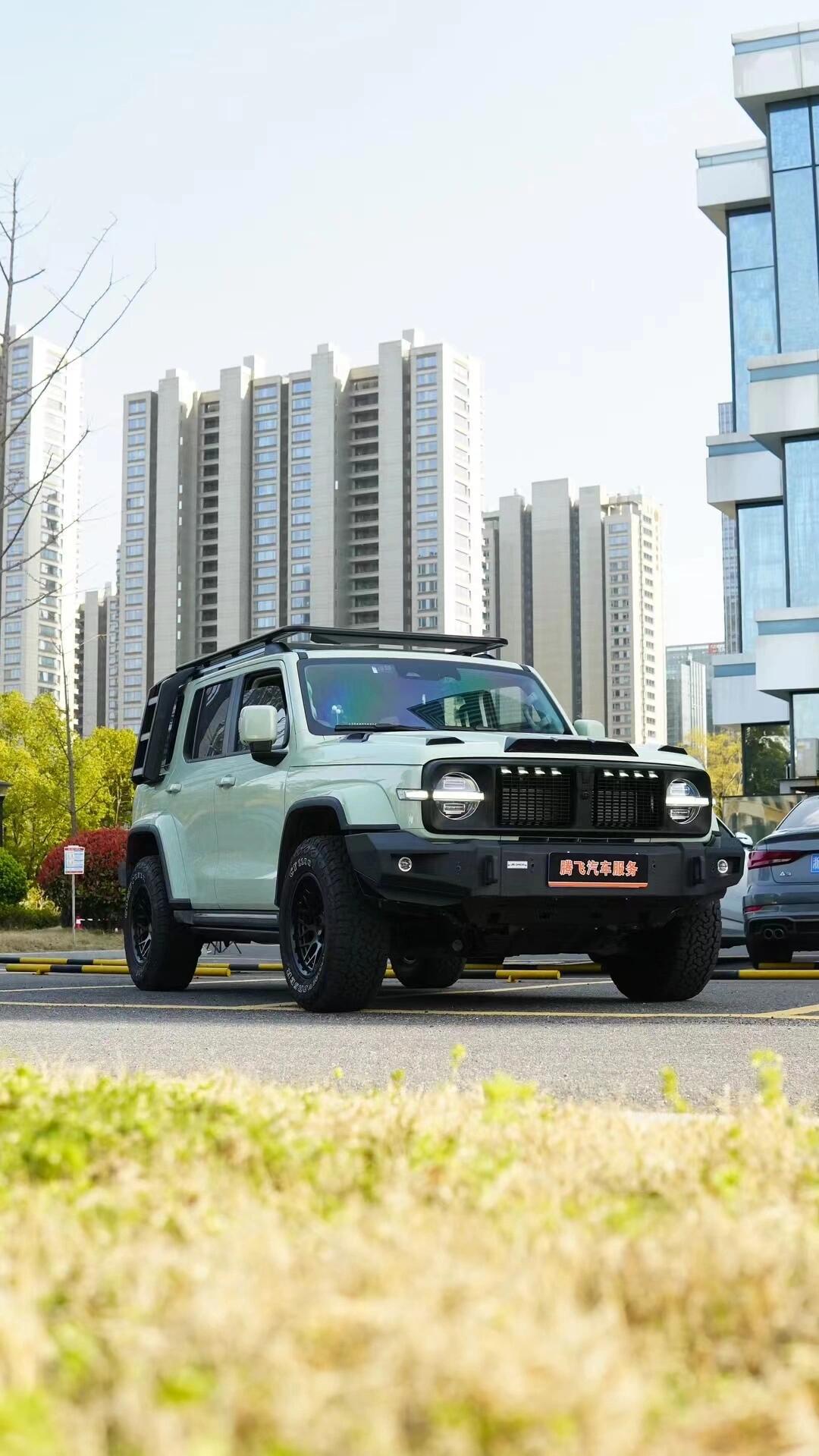 💥坦克300升级枫林铁骑 牛油果绿,霸气又独_坦克300社区_易车社区