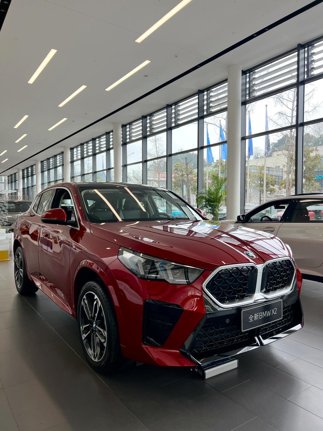 bmw x2