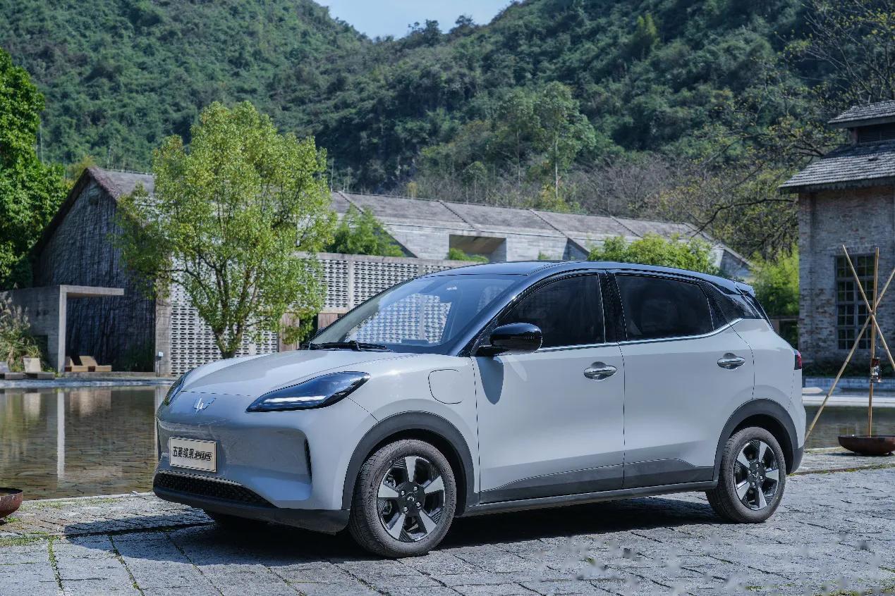 毫无疑问是缤果plus 随着新能源领域的快速发展,续航越