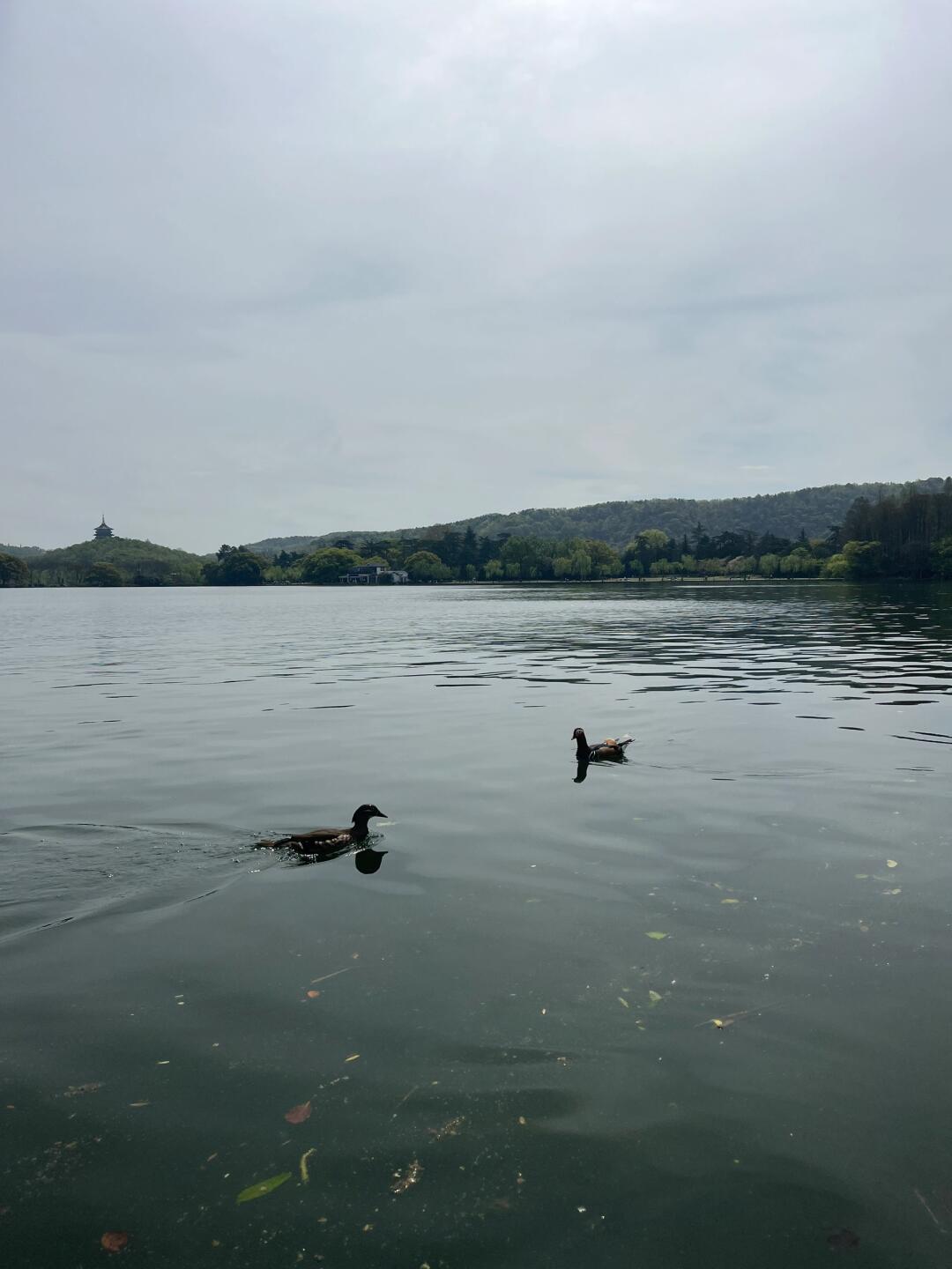 乌龟潭游船攻略_汽车杂谈社区_易车社区