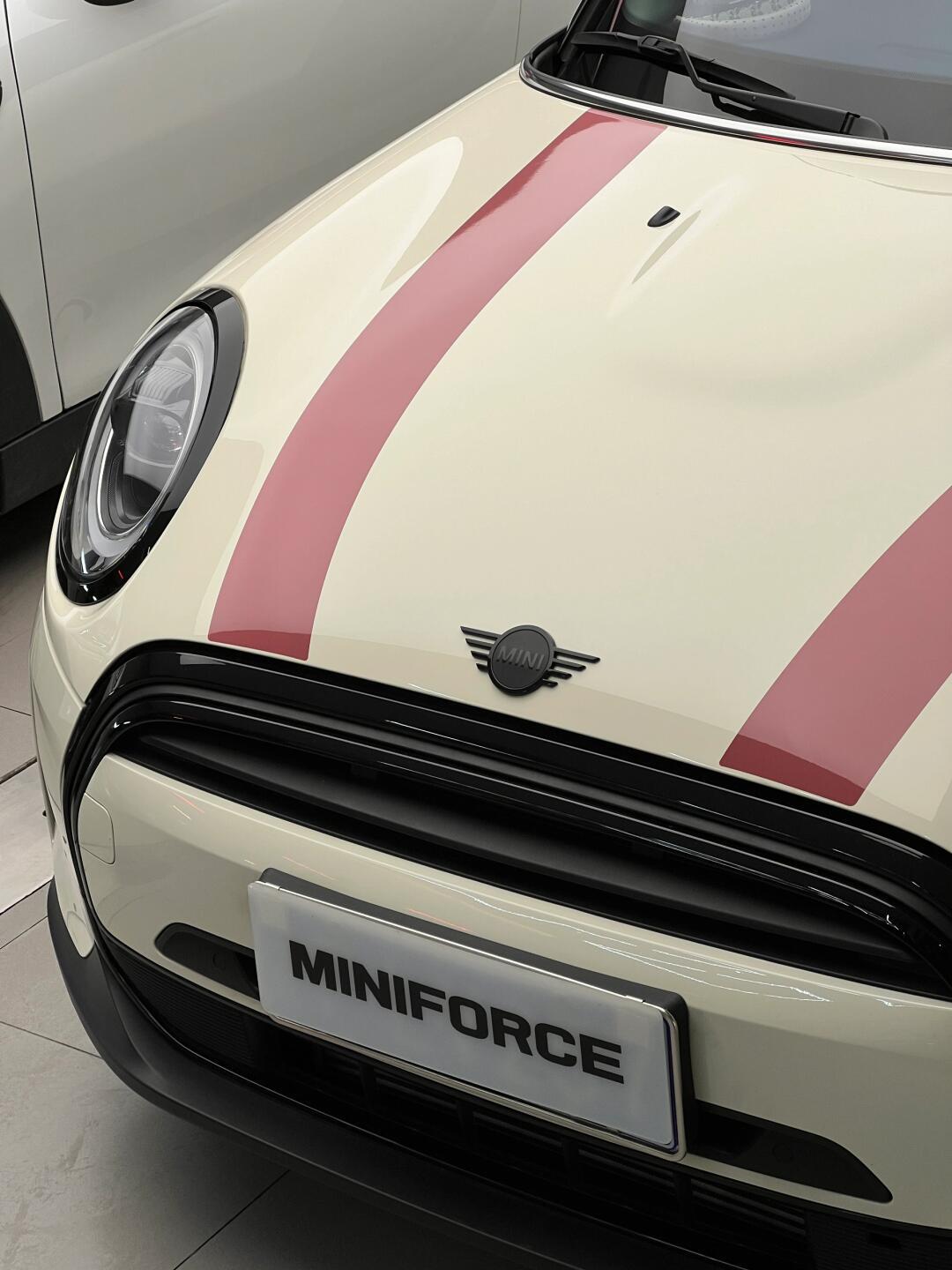 玫瑰豆沙色 x 胡椒白|8215mini复古配色_mini paceman社区_易车