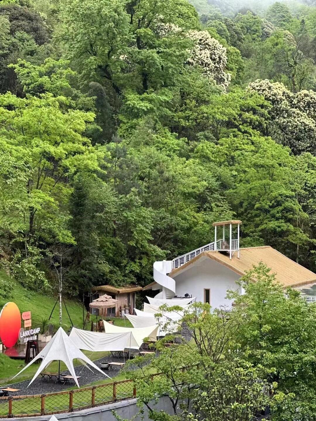 期待明天正兰溪森林秘境进行团建的插花暖场活动