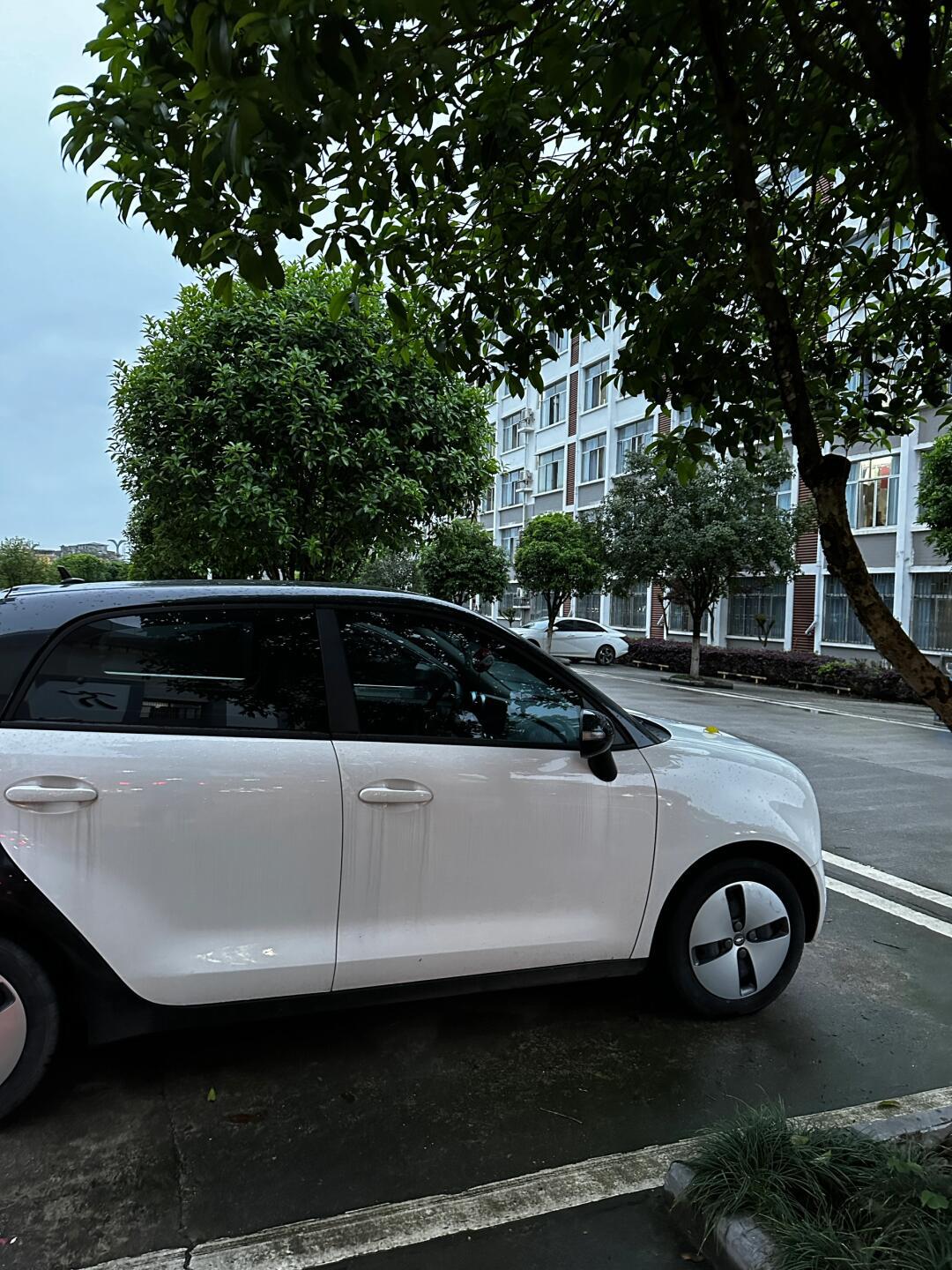 春日新能源出行,里程无忧~_欧拉黑猫社区_易车社区