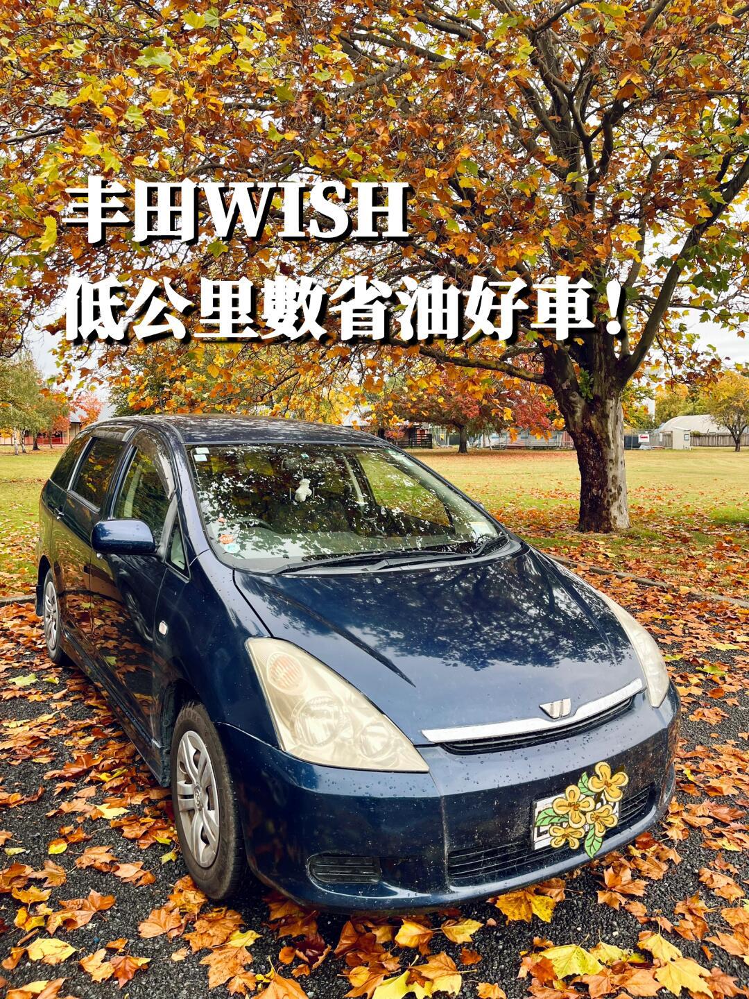皇后镇基督城买车看过来_wish社区_易车社区