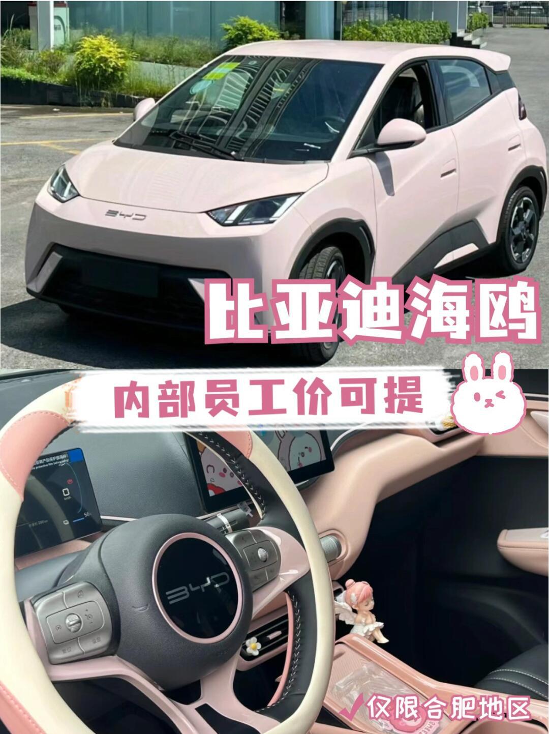比亚迪小海鸥补铁至高6500!合肥现车可提哦～_海鸥社区_易车社区