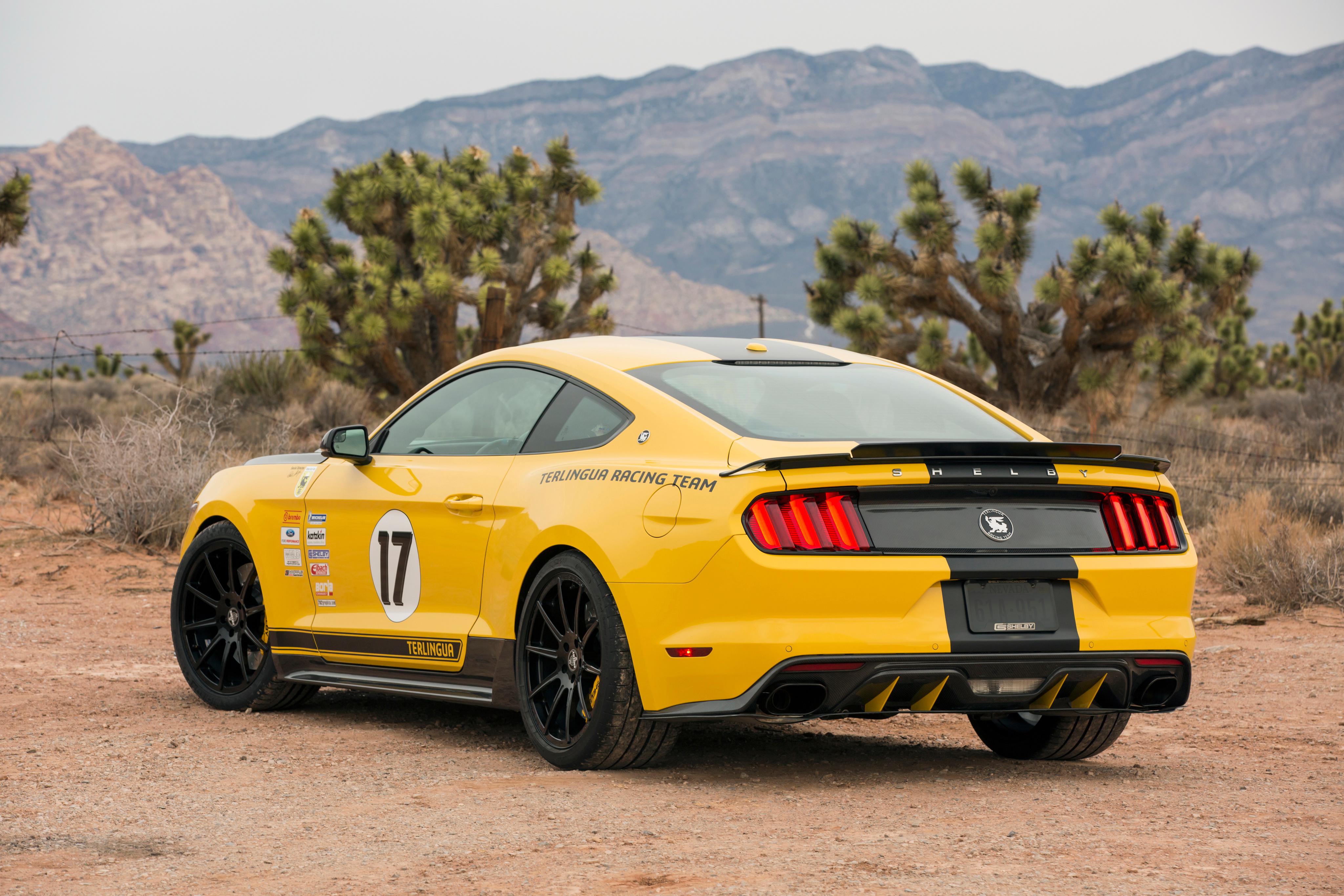 shelby terlingua