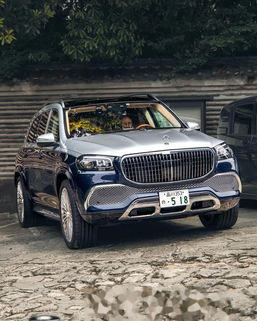 姿态,还是得迈巴赫 200万级别的德国进口高定gls500双调典藏,400万