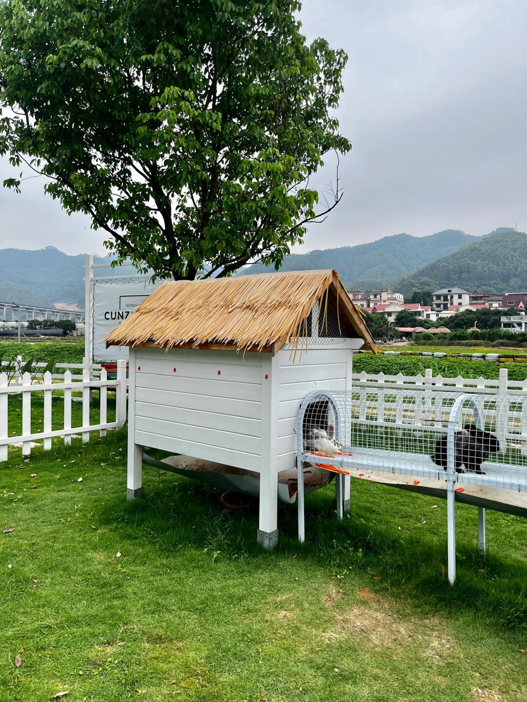 漳州周边游 | 96蜗牛村可冲!