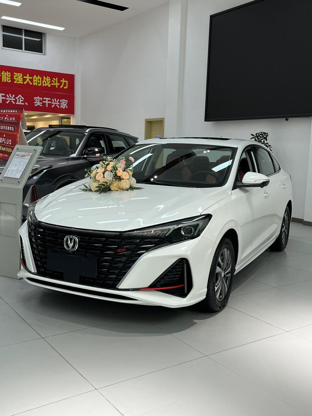 8万级新手入门推荐车型长安逸动plus