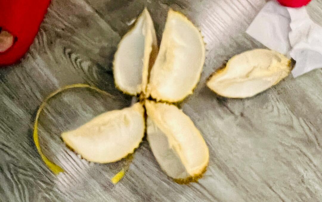 7515|再次惊叹榴莲的功效_汽车杂谈社区_易车社区