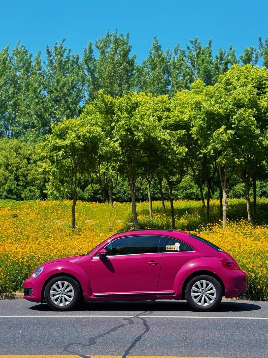 高速上遇到一台可爱甲壳虫_甲壳虫社区_易车社区