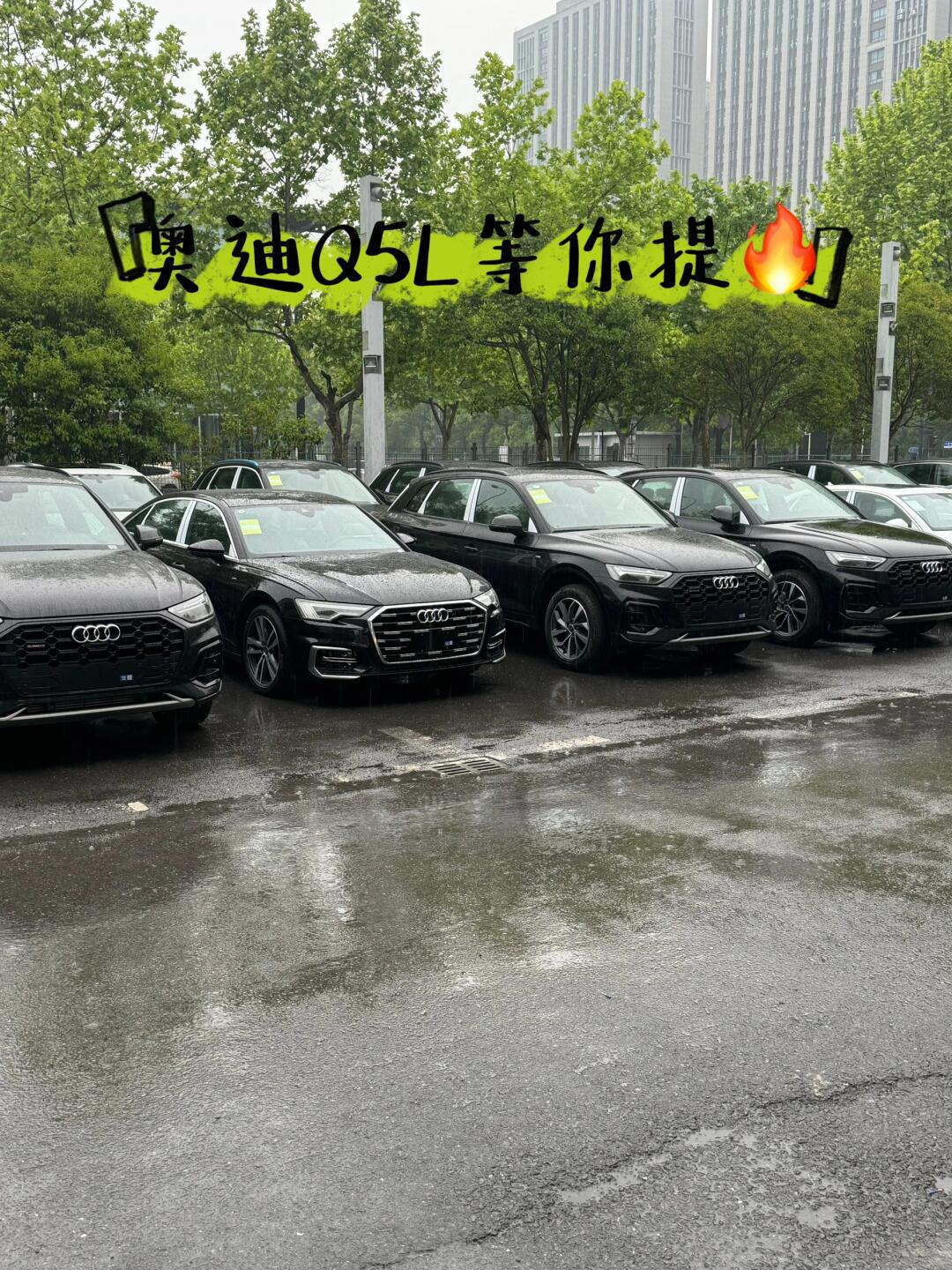 xx的奥迪q5l_奥迪q5l社区_易车社区