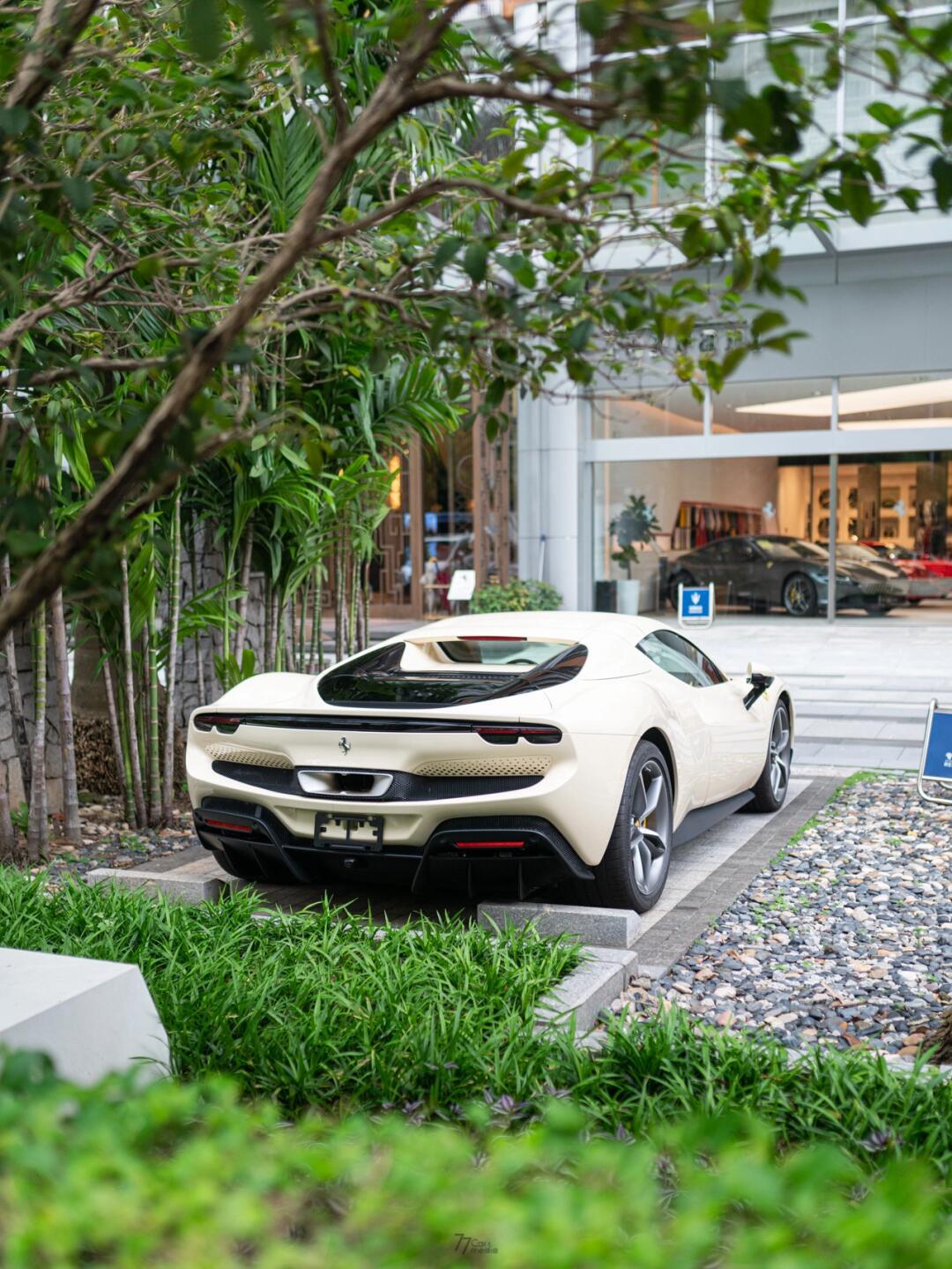 241|这种颜色的法拉利296,你们见过吗