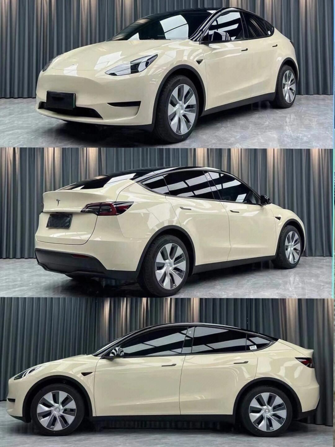 特斯拉改色合集|这简直太壮观了6015_汽车杂谈