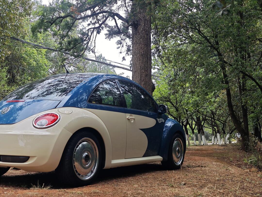 甲壳虫 | 风火轮 | 会员限定 | 原创定制