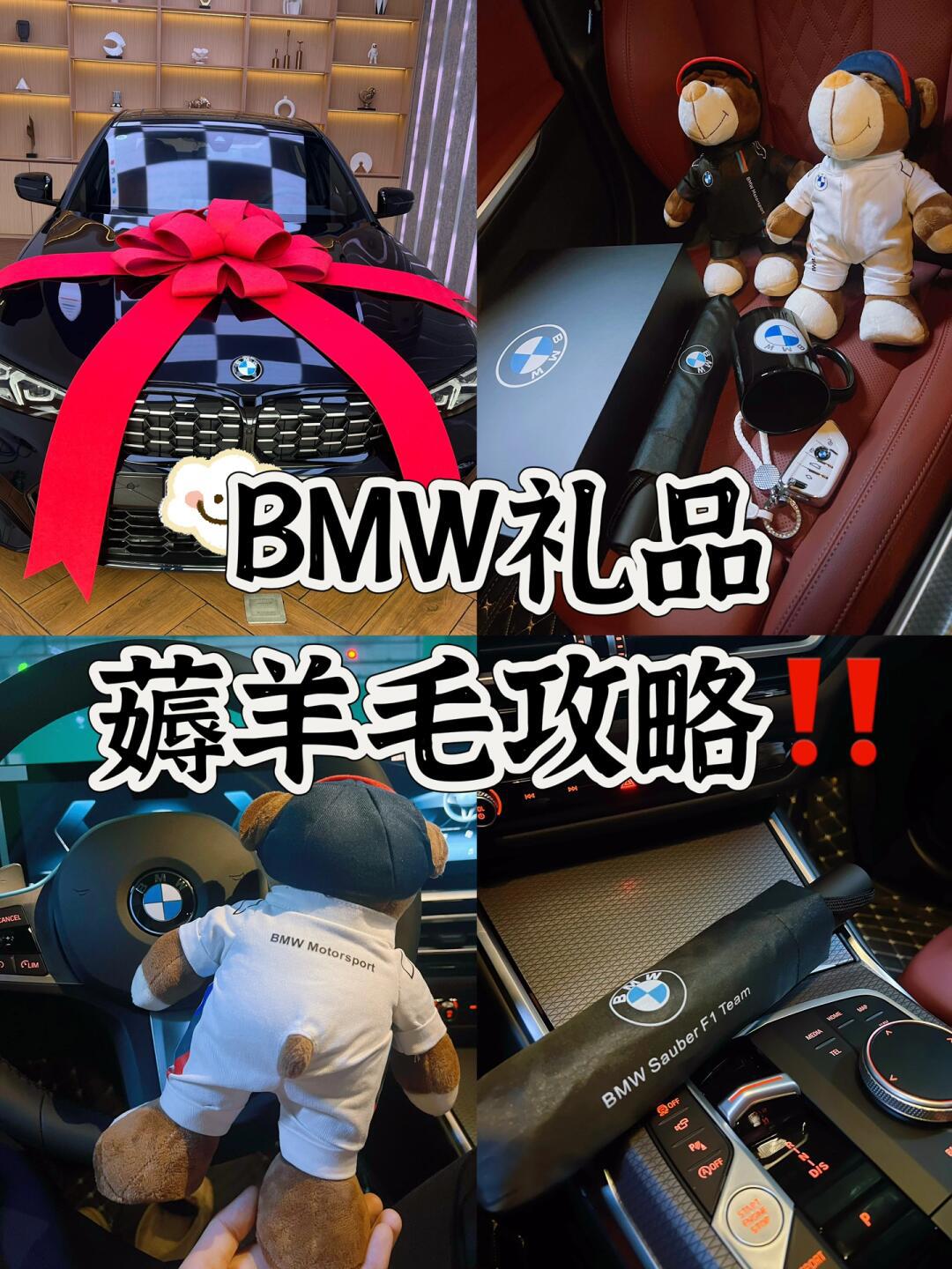 宝马礼品大家都要到了什么?