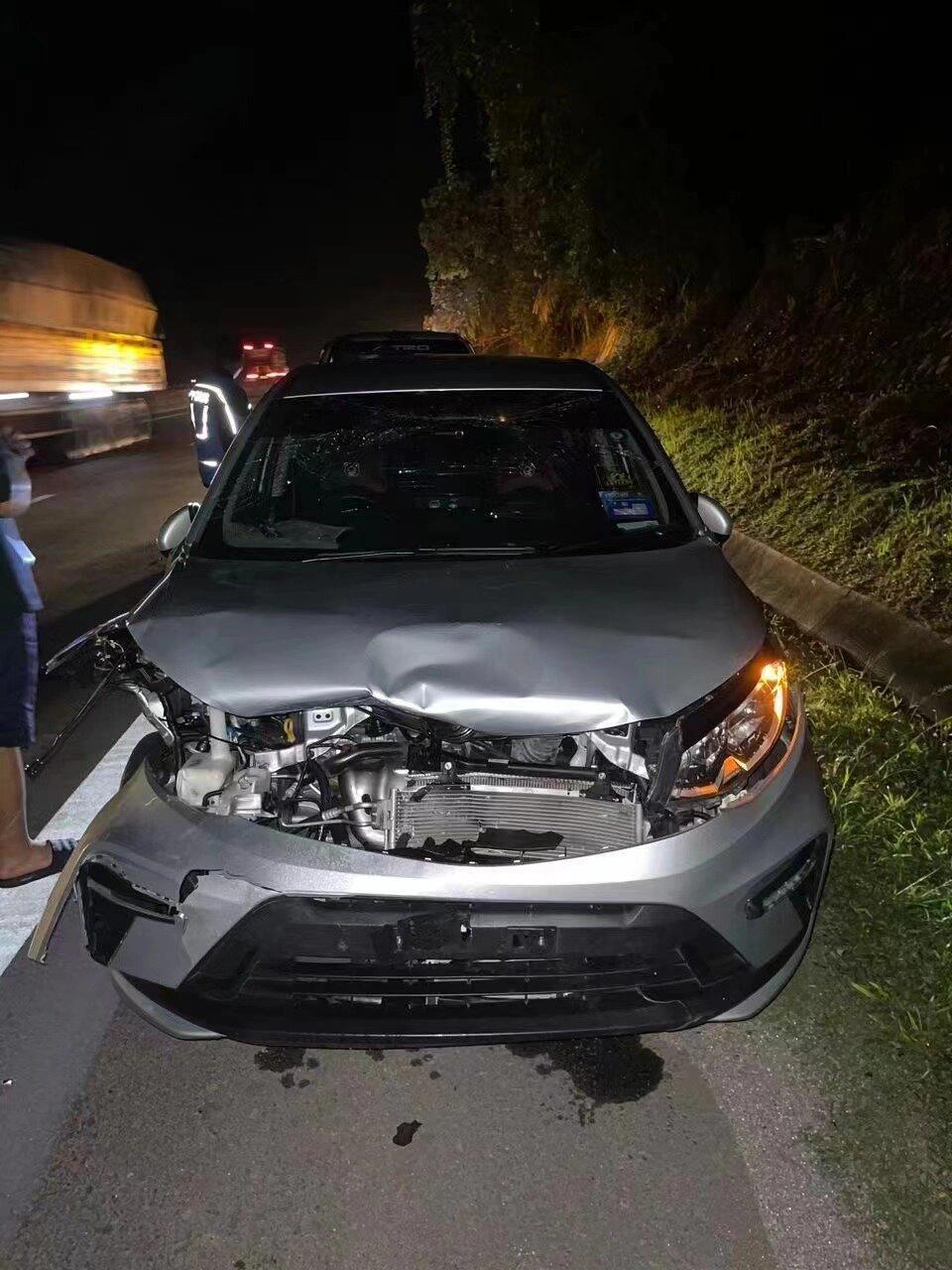 前方有虎出没,后方车辆注意7515