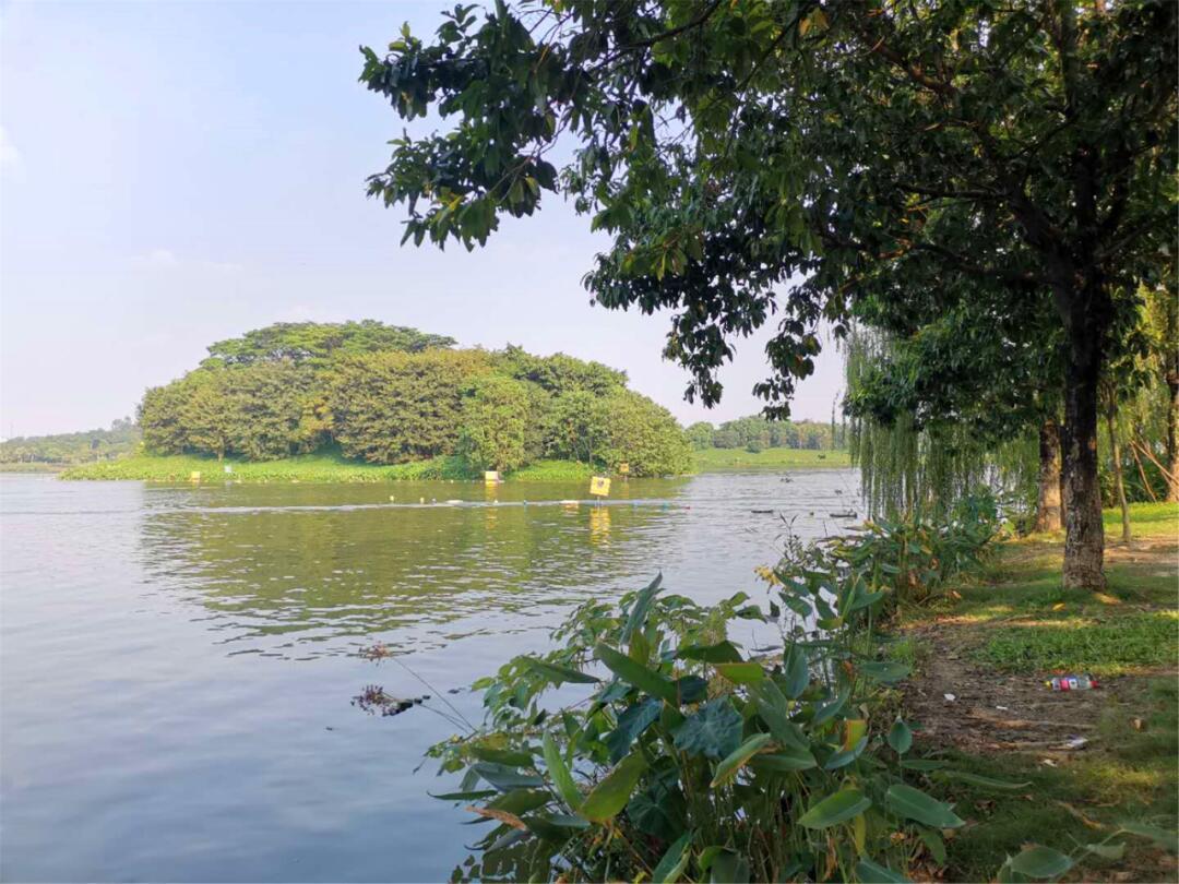 广州白云湖景点介绍图片