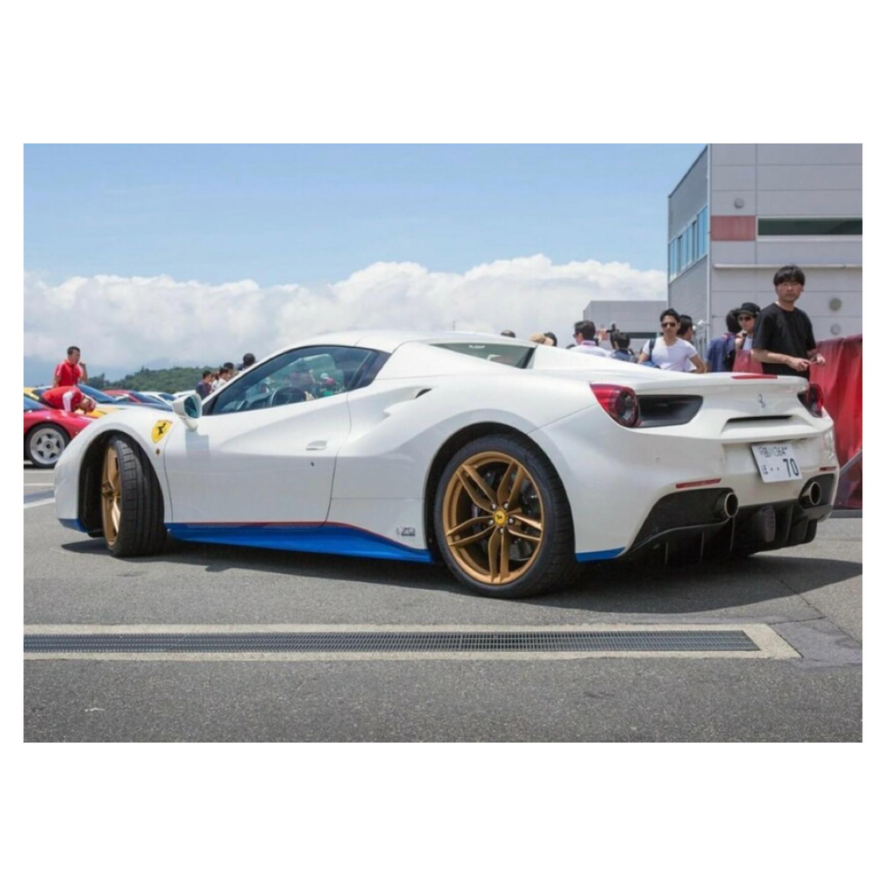 5156611566"the rally car" 51/70 98车漆: bianco