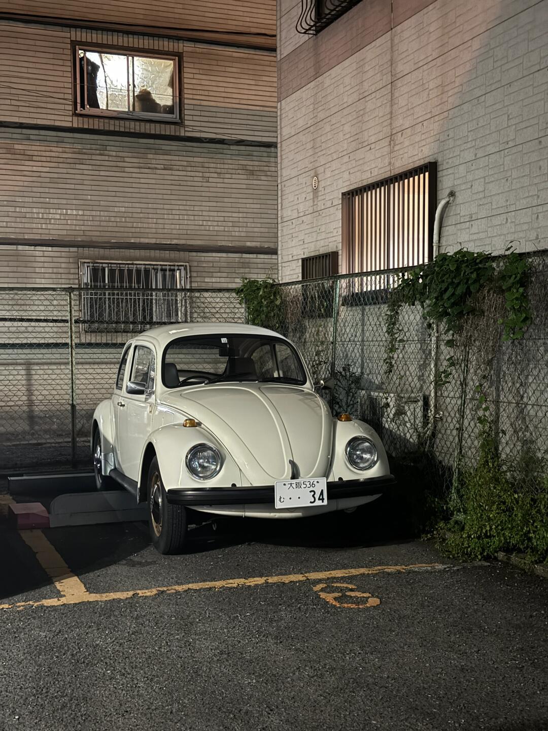 在日本旅行时看见车07车牌对颜值影响巨大