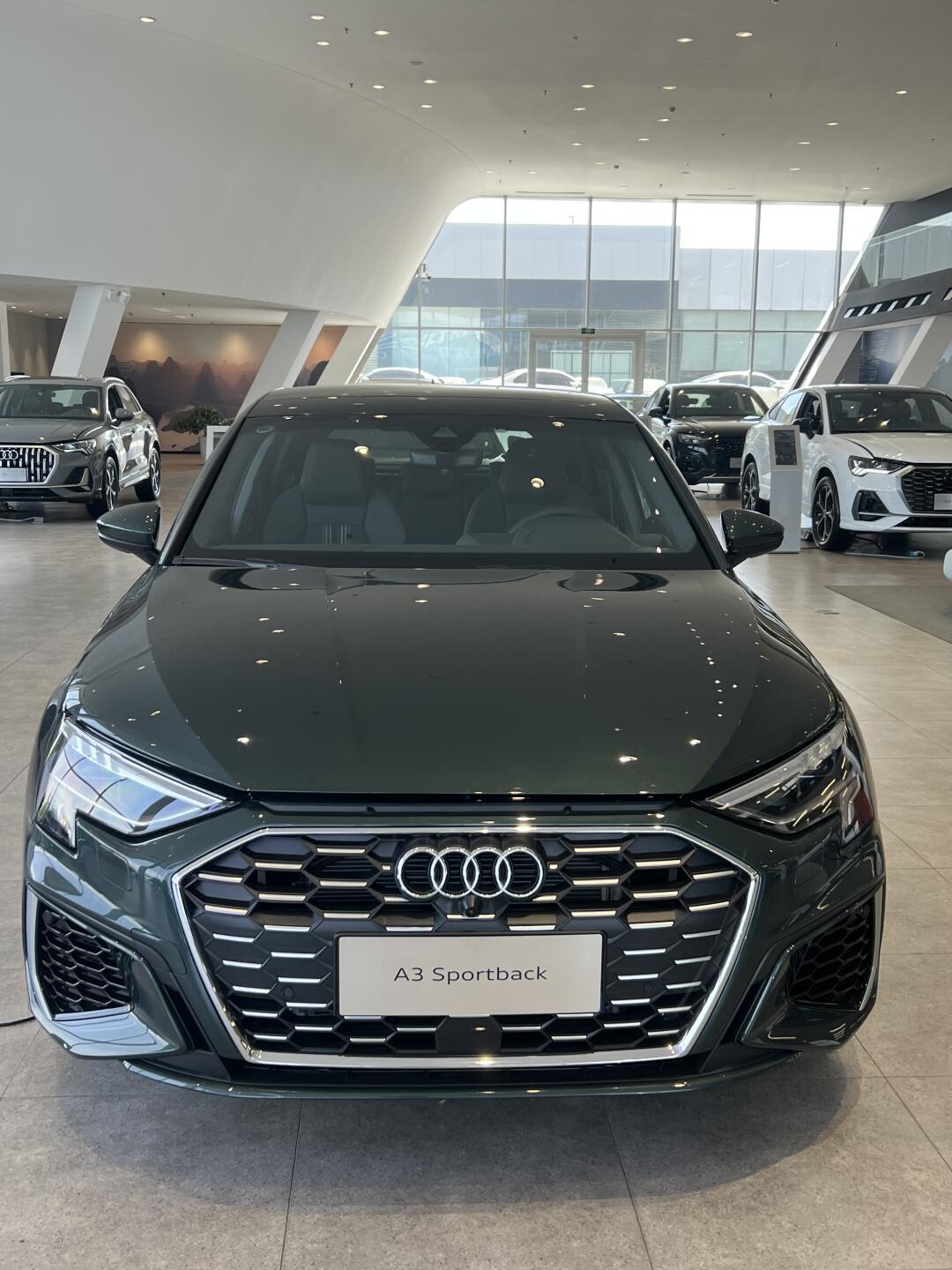 十几万预算,我为何永远相信奥迪的哥特兰绿 两厢a398 95 笔记正文