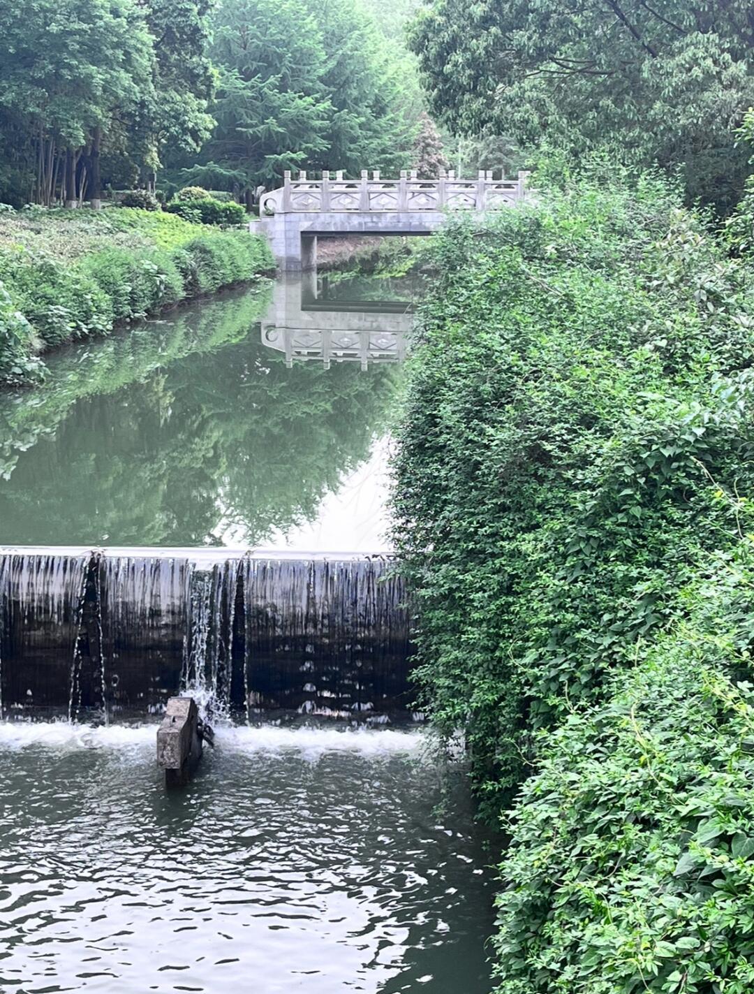 周末韶山之旅:极狐考拉的宽敞空间与持久续航