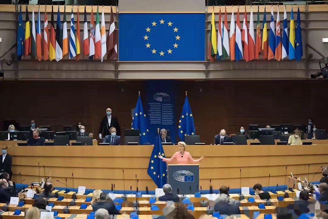 欧洲议会最近通过一项具有历史意义的决议,以340票赞成,279票反对,21