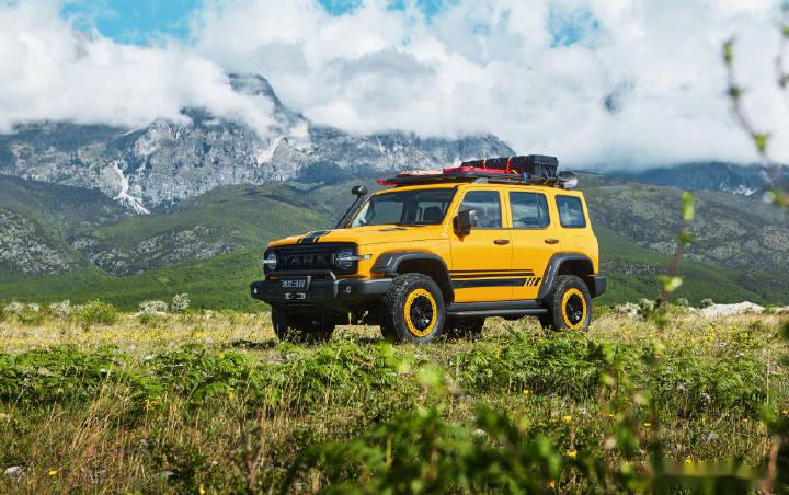 老欧洲这种汽车懂哥,要说不知道gwm的意思是【great wall