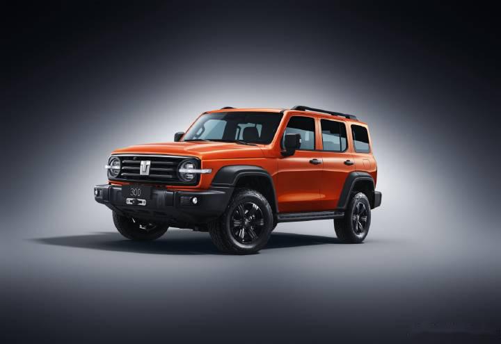 老欧洲这种汽车懂哥,要说不知道gwm的意思是【great wall