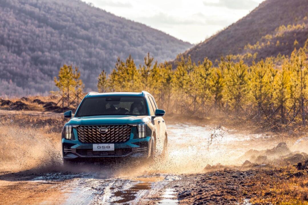 当前位置:>易车>社区>传祺gs8社区>传祺gs8五座豪华版上市售15.