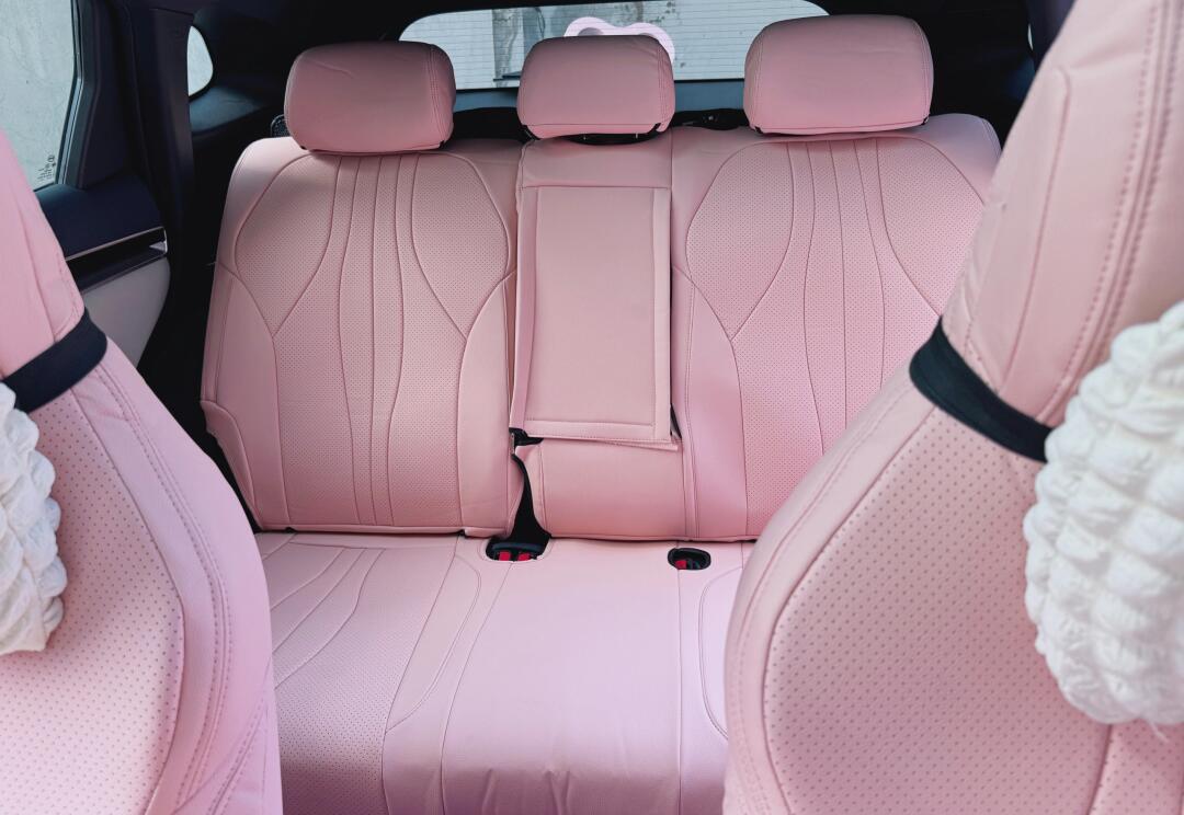 比亚迪宋plus ev少女粉内饰装饰_宋plus新能源社区_易车社区