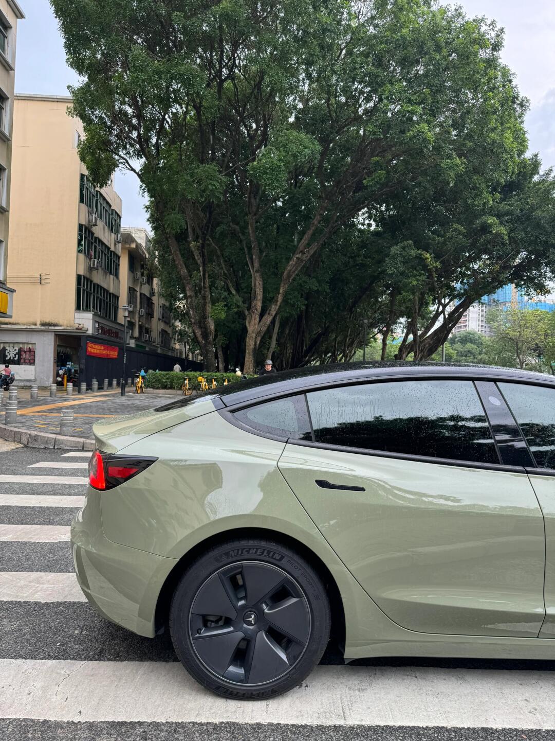 特斯拉3卡其绿| 不贴这个颜色我真的会01_model 3社区_易车社区