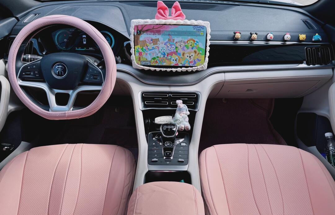 比亚迪宋plus ev少女粉内饰装饰_宋plus新能源社区_易车社区