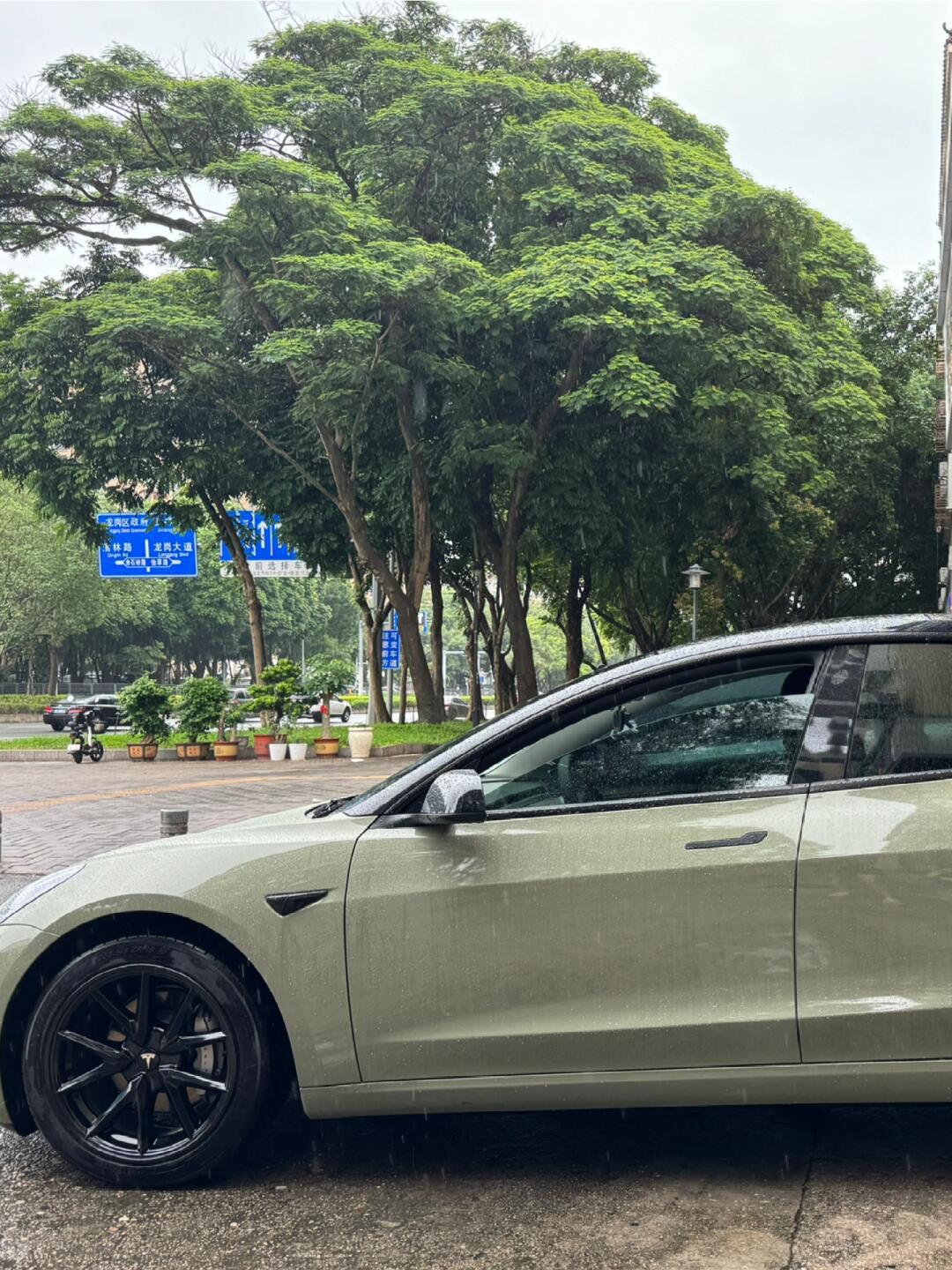 特斯拉3卡其绿| 不贴这个颜色我真的会01_model 3社区_易车社区