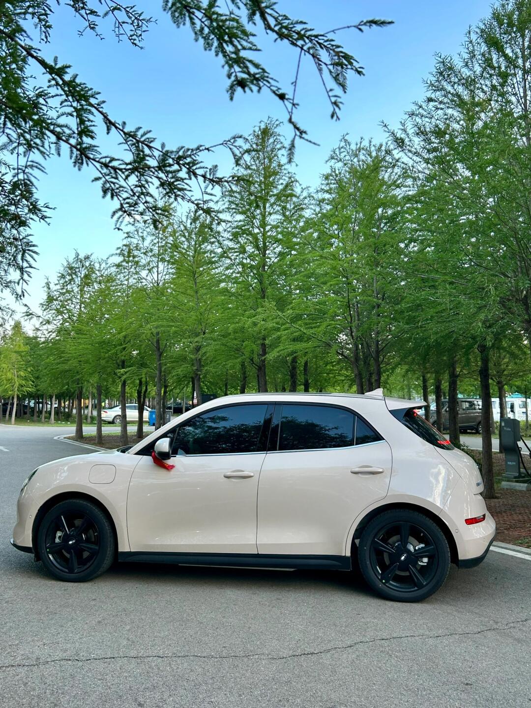 开始养猫啦(尊嘟很喜欢这款车的颜值)_欧拉好猫社区_易车社区