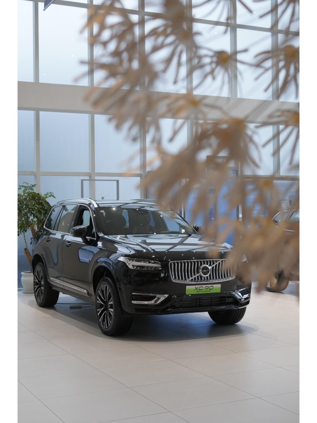 沃尔沃插电式混动家族