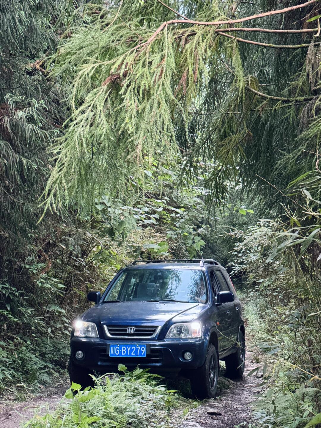 24岁的本田crv rd1 陪伴我们越野