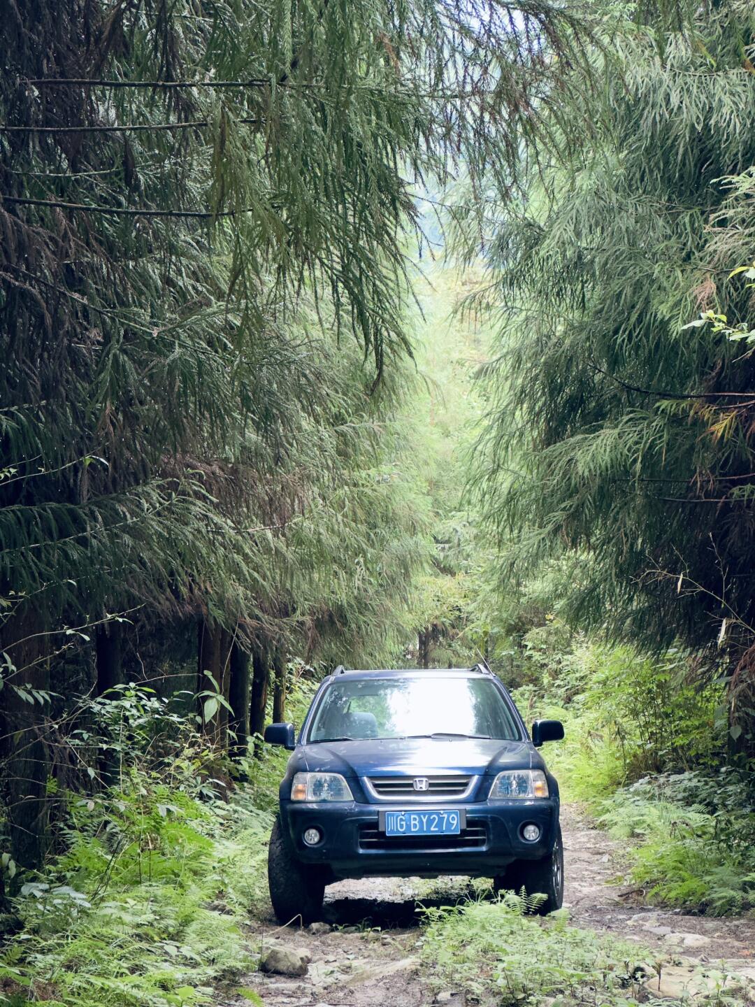 24岁的本田crv rd1 陪伴我们越野