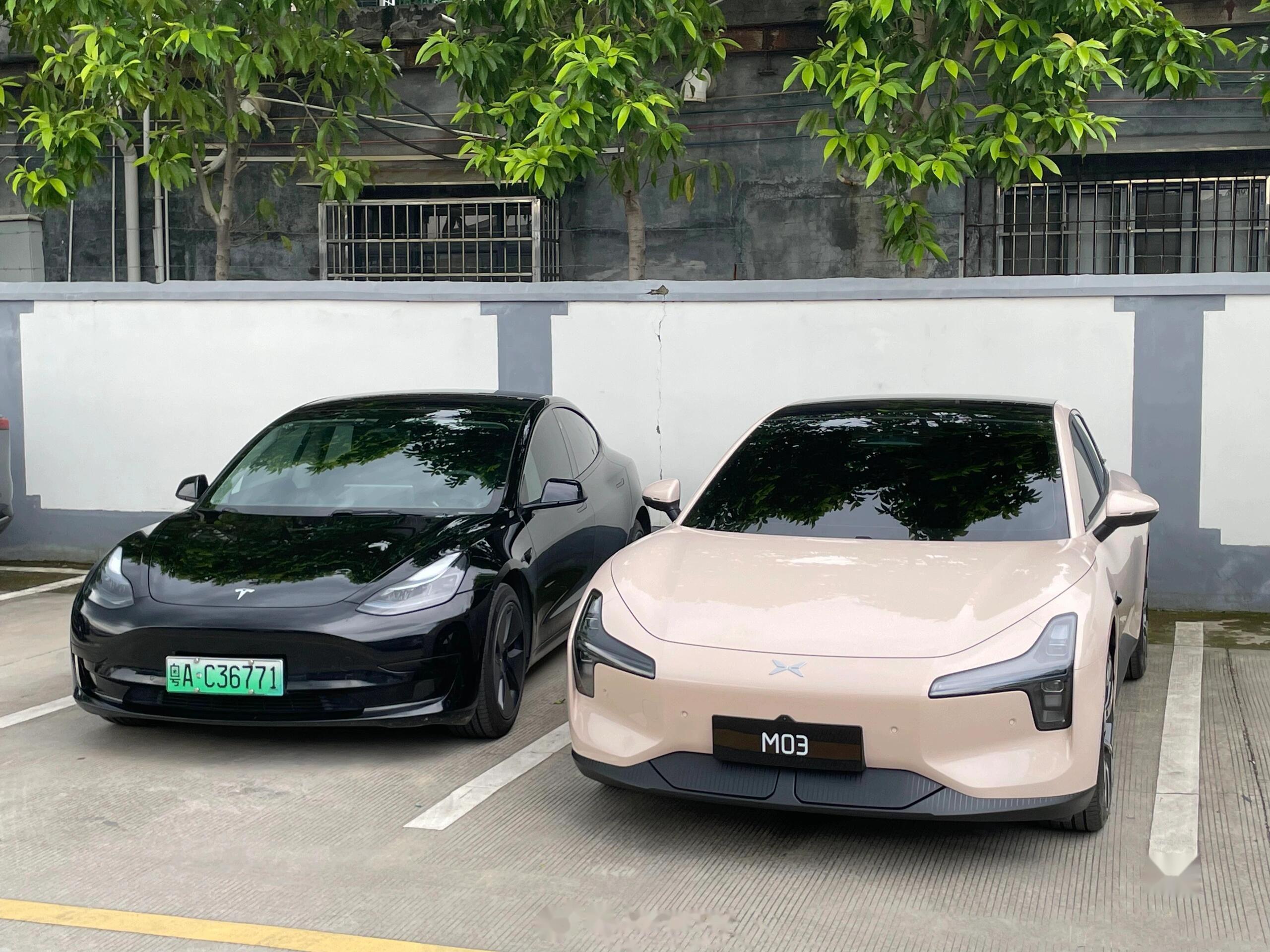 小鹏m03和特斯拉model 3同框