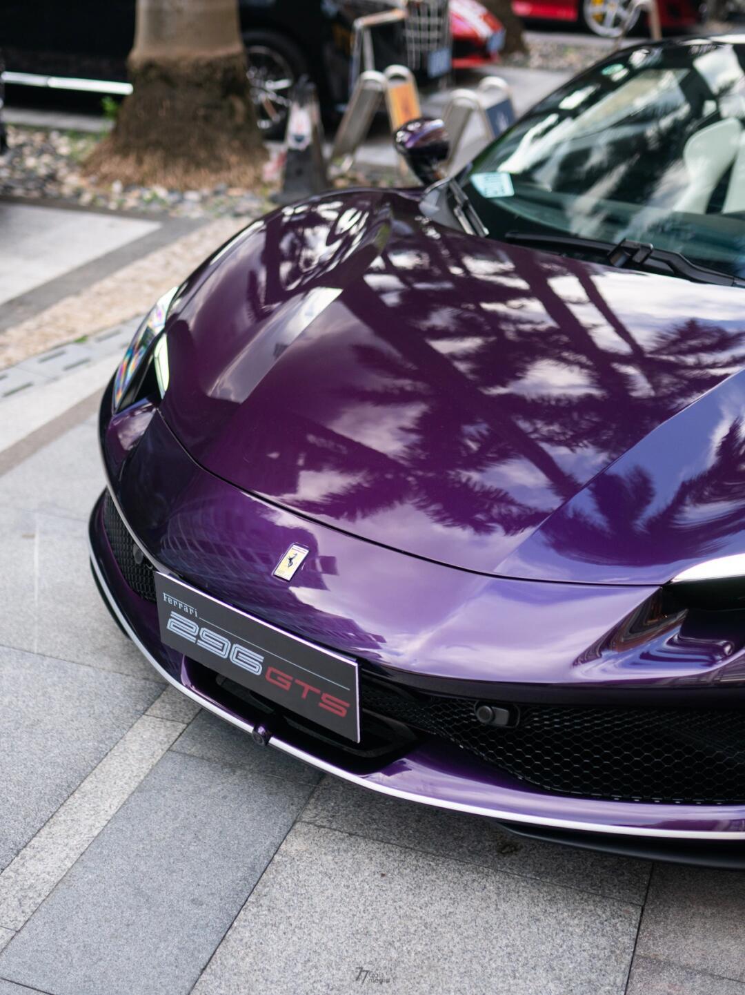 263|广州交付:绝美的紫色法拉利296