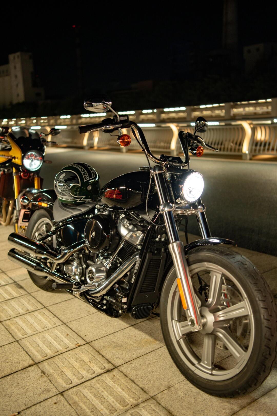 哈雷软尾标准softail standard 虎门夜骑