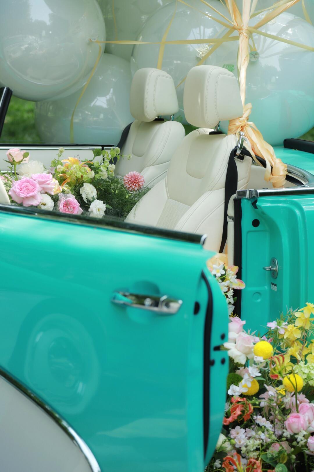 复古 敞篷 新能源=松散·海豚|ss dolphin