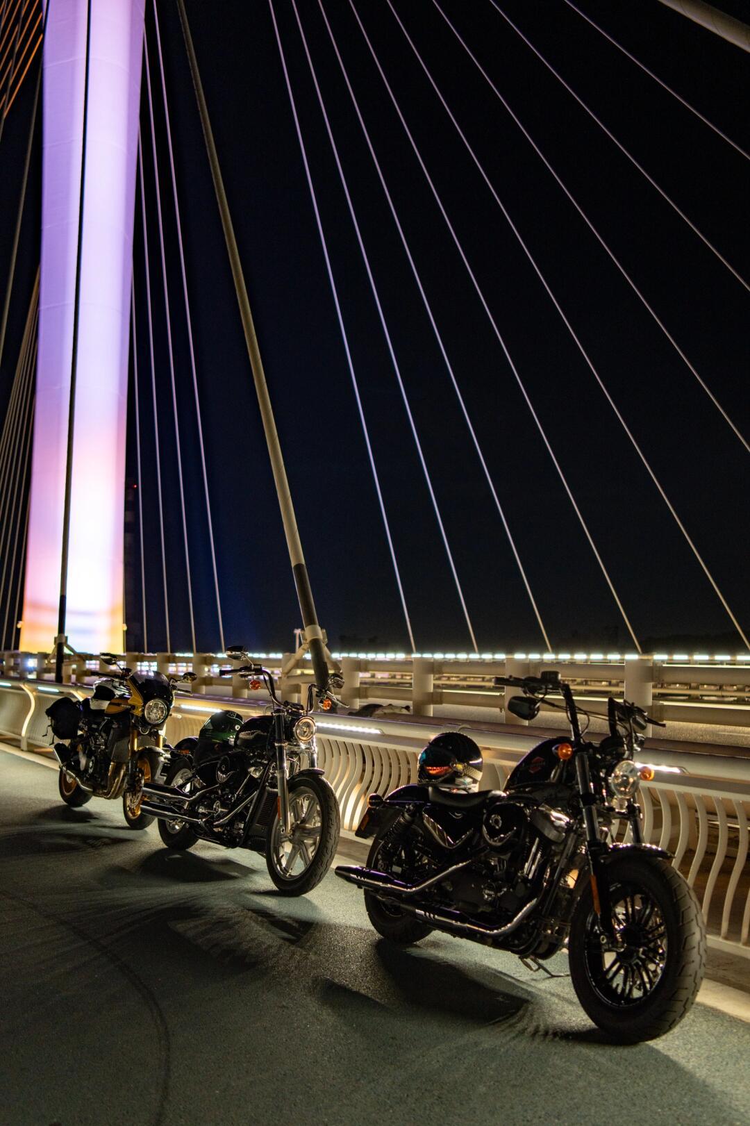 哈雷软尾标准softail standard 虎门夜骑