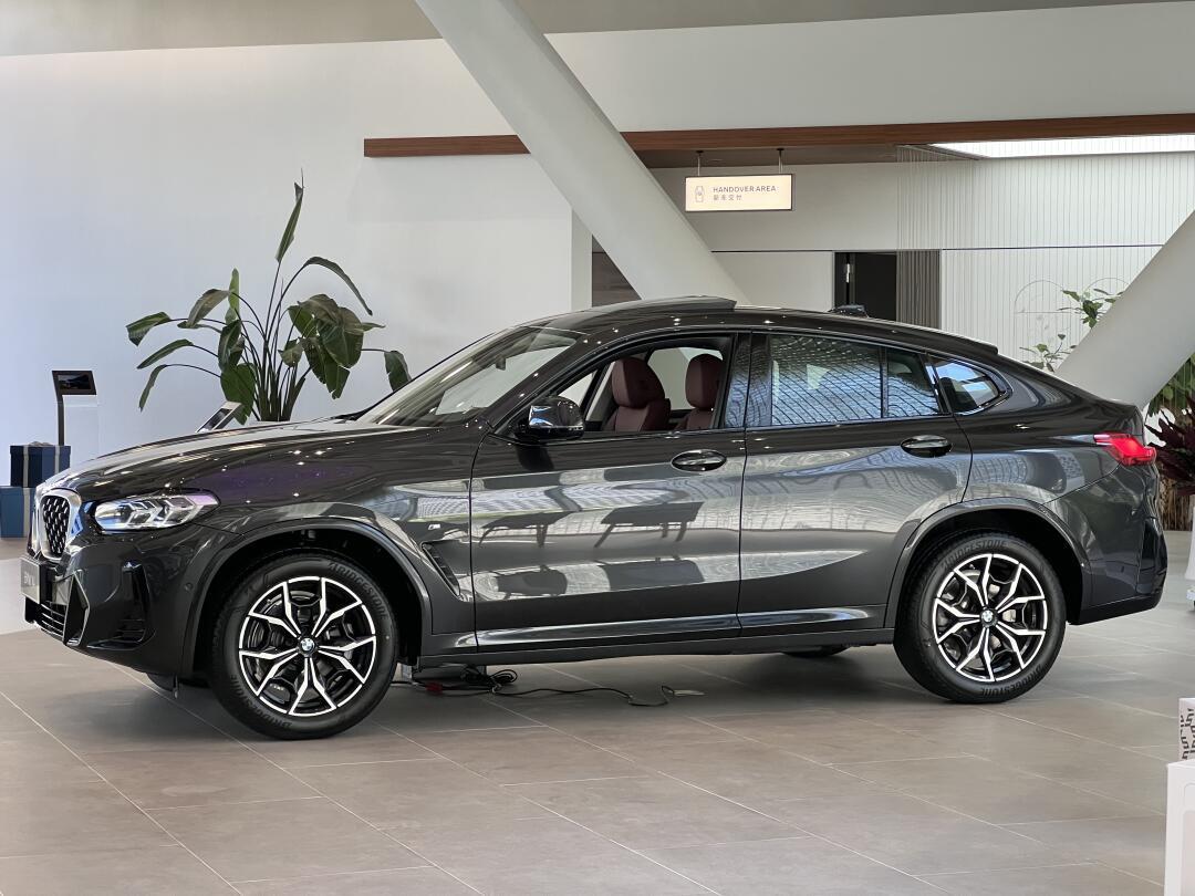 99bmw x4 