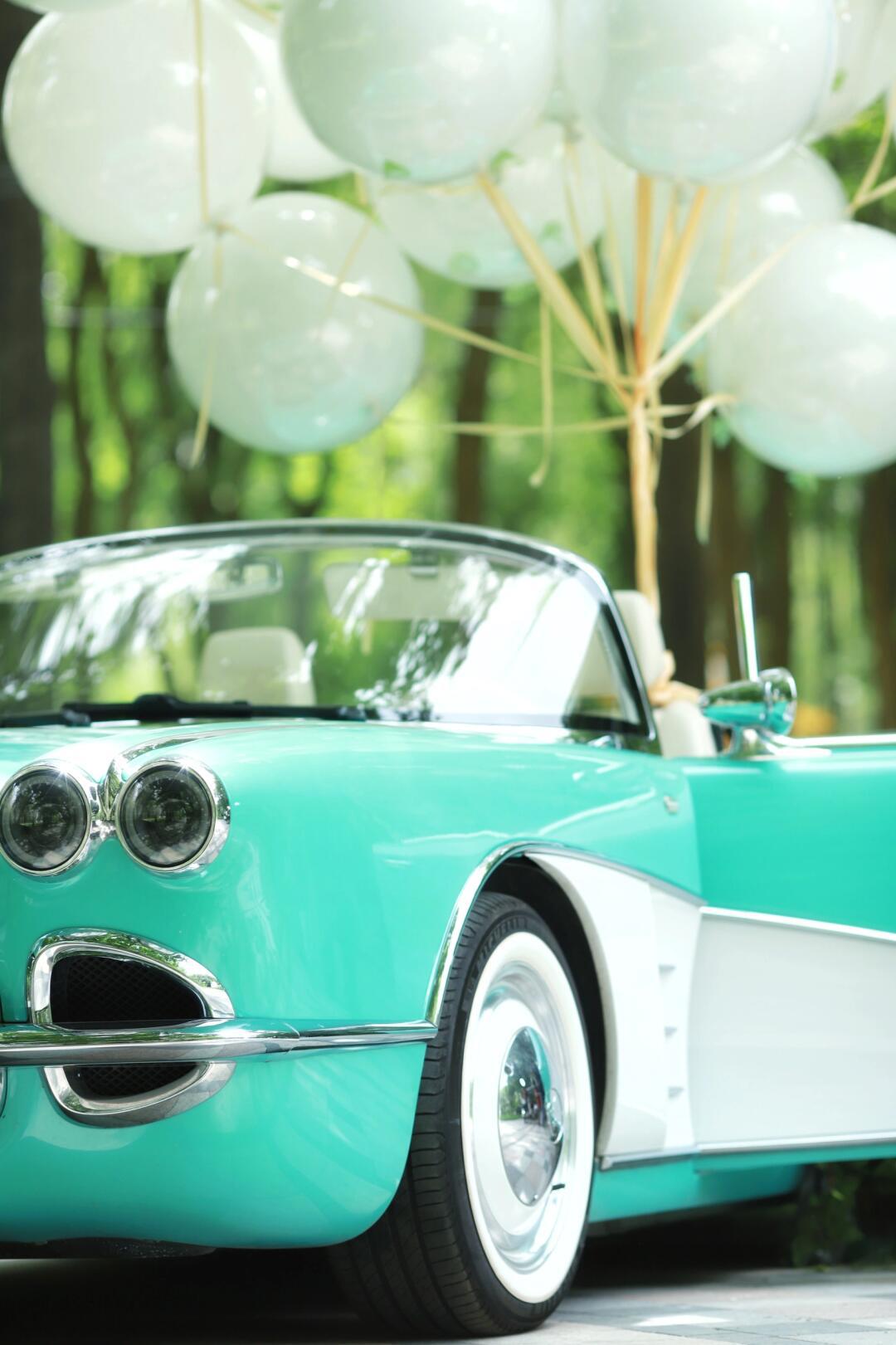 复古 敞篷 新能源=松散·海豚|ss dolphin