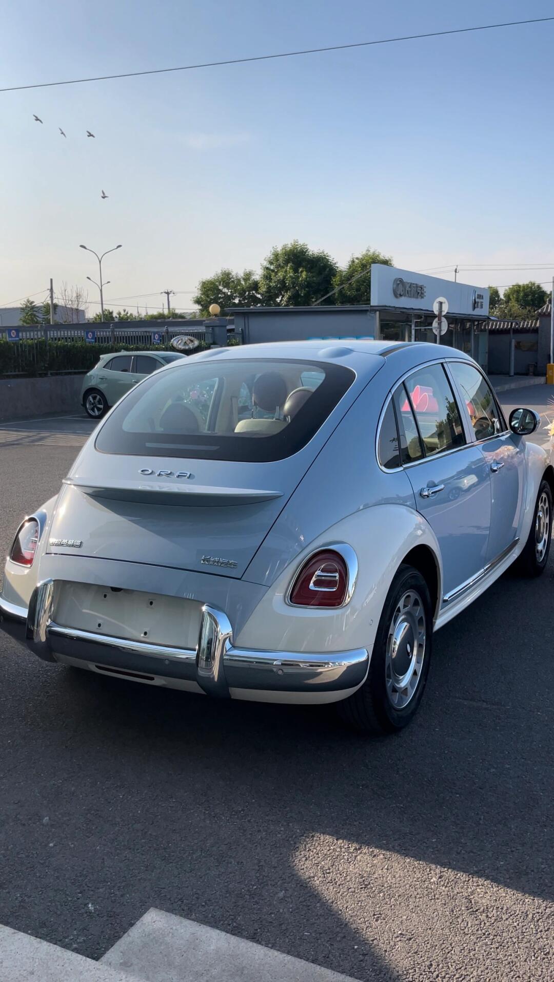 9978新宠欧拉芭蕾猫来啦!超美外观,驾驶体验