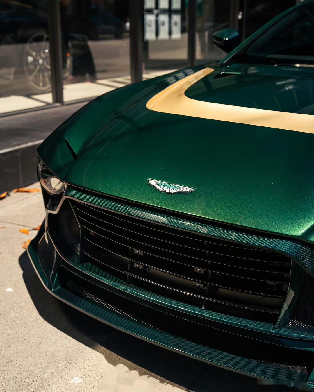 valour,阿斯顿·马丁为庆祝成立110周年而推出的一款限量版车