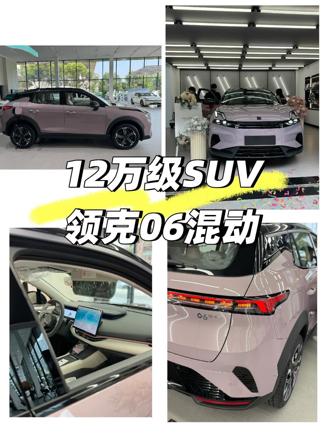 我的小粉车车0712万级混动suv